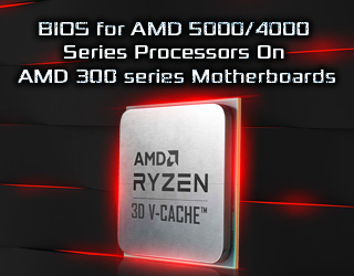 AMD1207 Update for 300